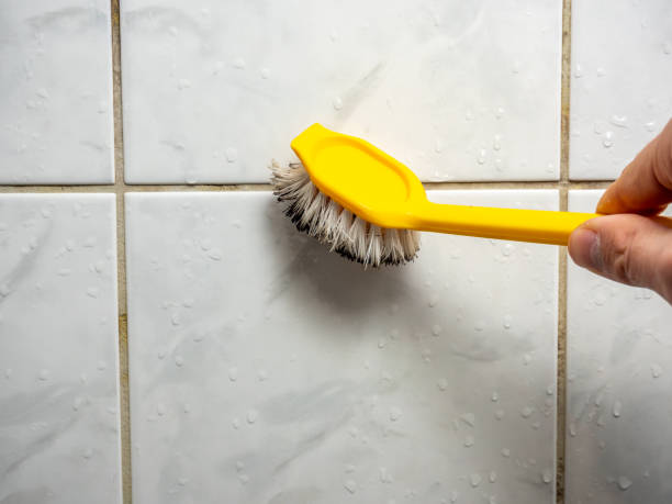 Best Bathroom Mold Remediation in Crystal Lake, IL