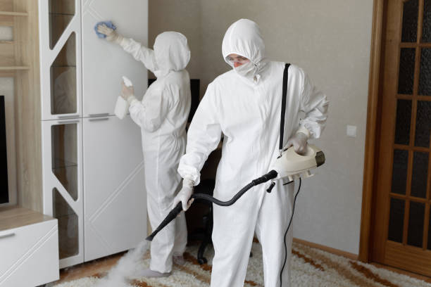 Best Crawl Space Mold Remediation in Crystal Lake, IL